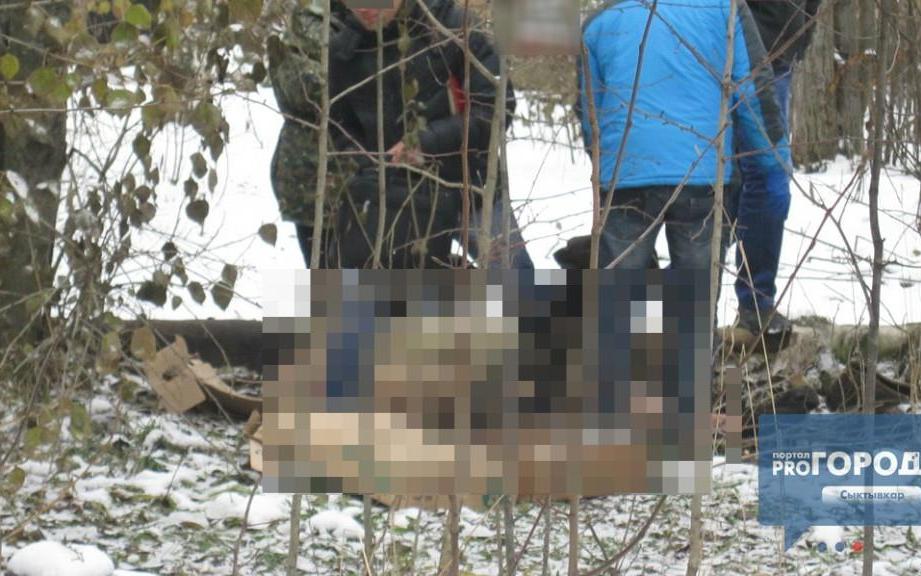 В Кирово-Чепецком районе нашли труп бешеной лисицы