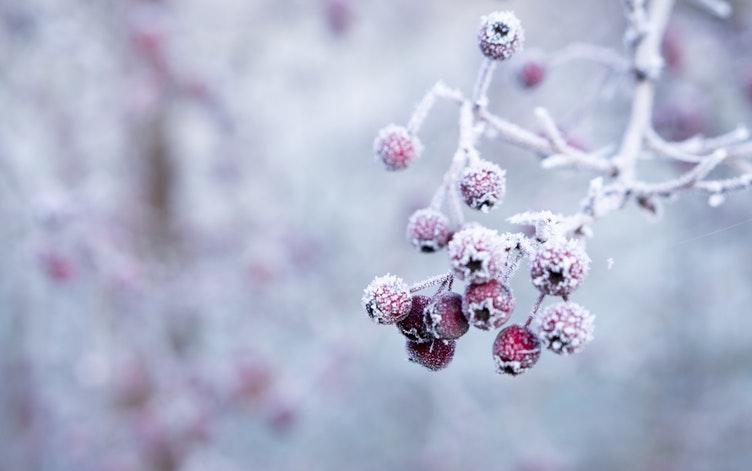 Погода в Чепецке: в конце недели горожан ожидает похолодание