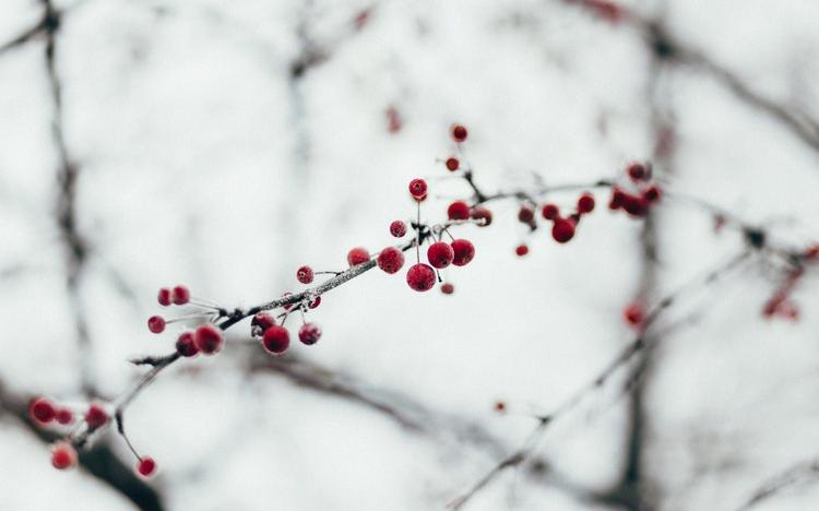 Прогноз погоды: какой будет рабочая неделя в Кирово-Чепецке?