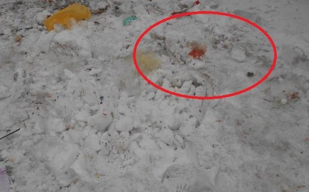 В Кирове в мусорном баке бродяга нашел тело младенца