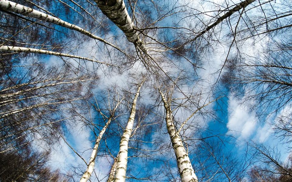 Прогноз погоды: какими будут выходные в Кирово-Чепецке?