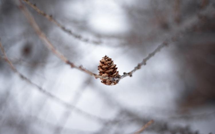 Прогноз: какой будет погода в Чепецке на этой рабочей неделе?