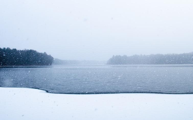 В Чепецке на глазах детей утонула собака