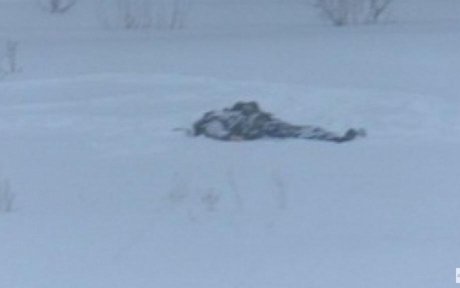 В Чепецке полицейские вынесли из леса замерзшего человека без сознания
