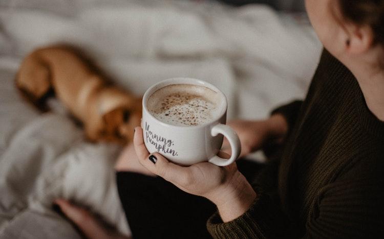 Что посмотреть в Новый год: интересные фильмы и премьеры