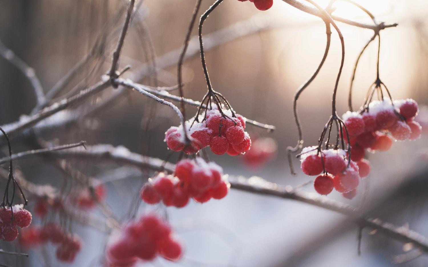 Прогноз погоды: какой будет предстоящая неделя в Чепецке?