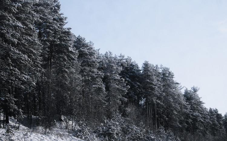 В Кировской области ожидается резкое похолодание