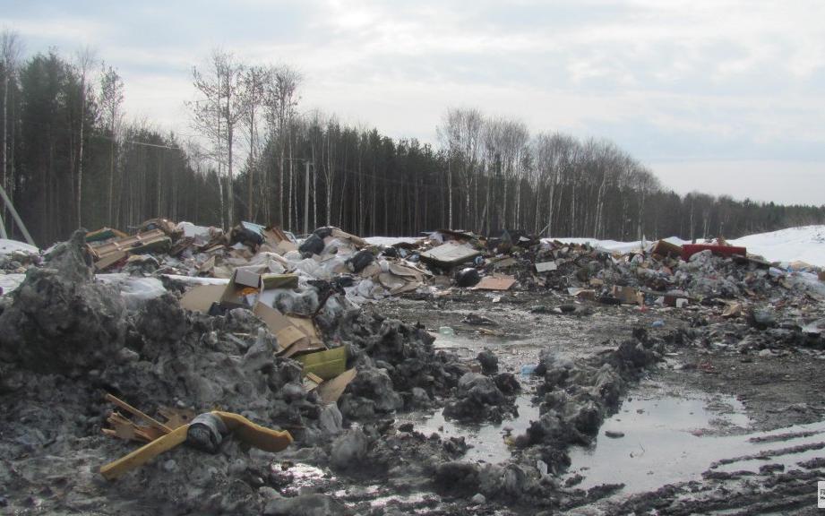 Прокуратура выявила нарушения на вновь загоревшемся полигоне ТБО в Перекопе