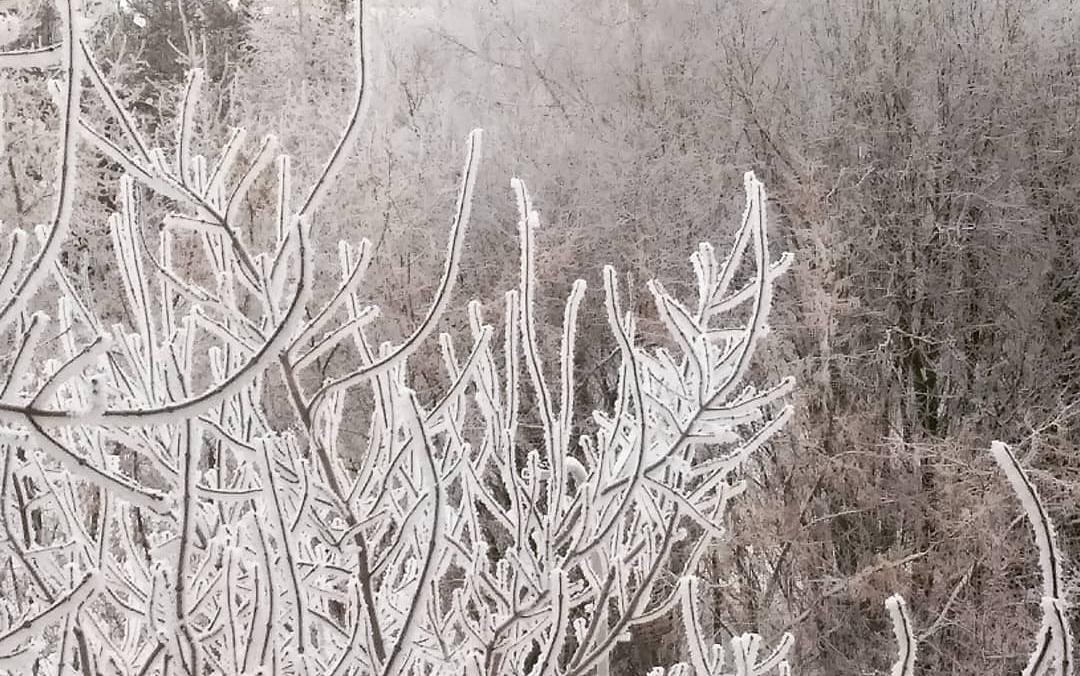 В Кирово-Чепецке заметили необычное природное явление