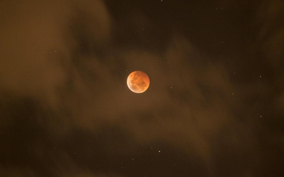 Чепчане смогут увидеть полное лунное затмение