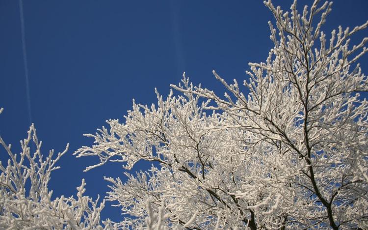 МЧС сообщает о 30-градусных морозах в Кировской области