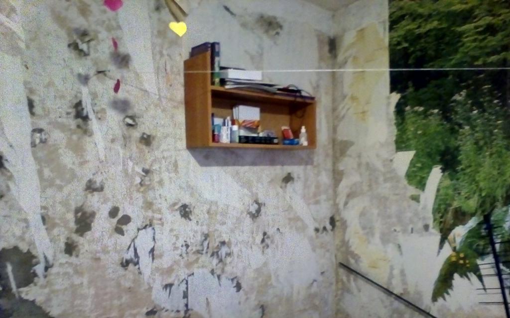 Сироте из Чепецка вместо полуразрушенной квартиры дадут нормальное жилье