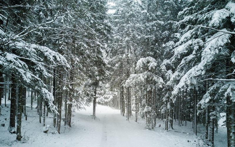 В Кировской области ожидается мороз до -31