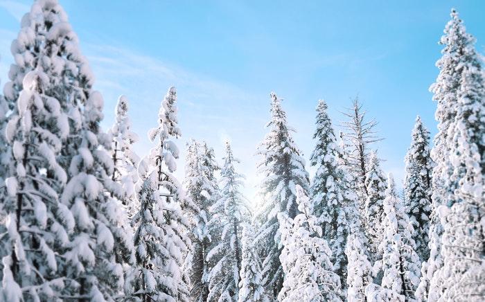 Прогноз погоды: какими будут выходные в Кирово-Чепецке?