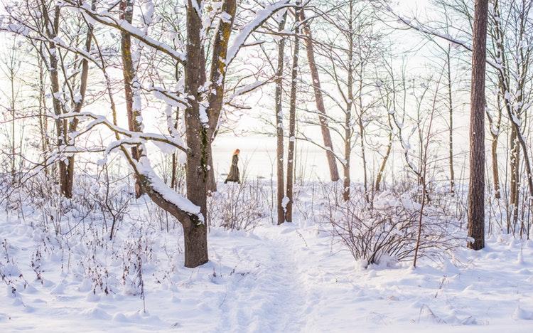 Февраль в Кировской области будет холодным