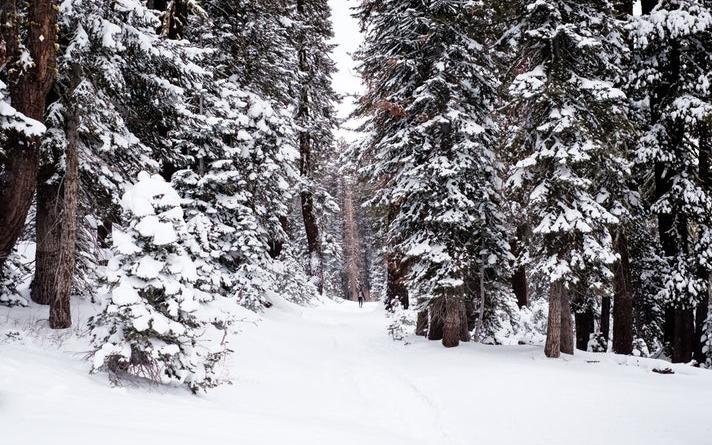 В ближайшие дни на Кировскую область обрушатся сильные снегопады
