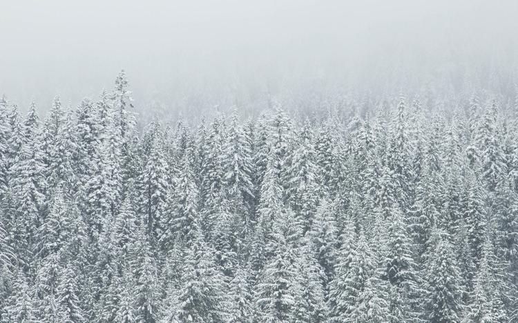 В четверг в Кирово-Чепецке ожидается 27-градусный мороз