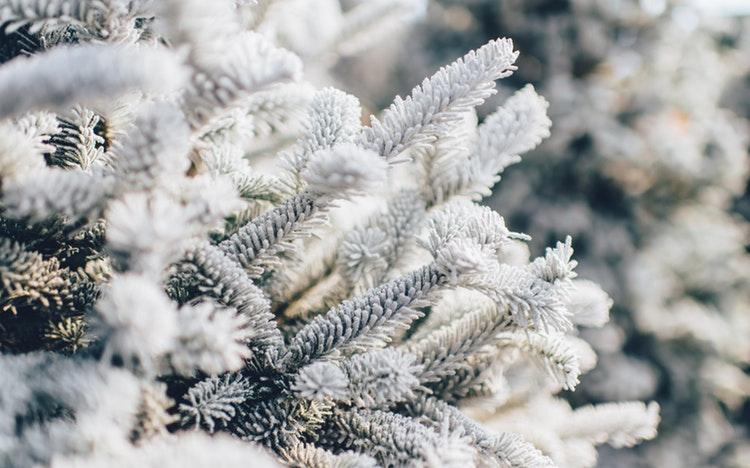 Прогноз от МЧС: какой будет погода в Кирово-Чепецке в пятницу?