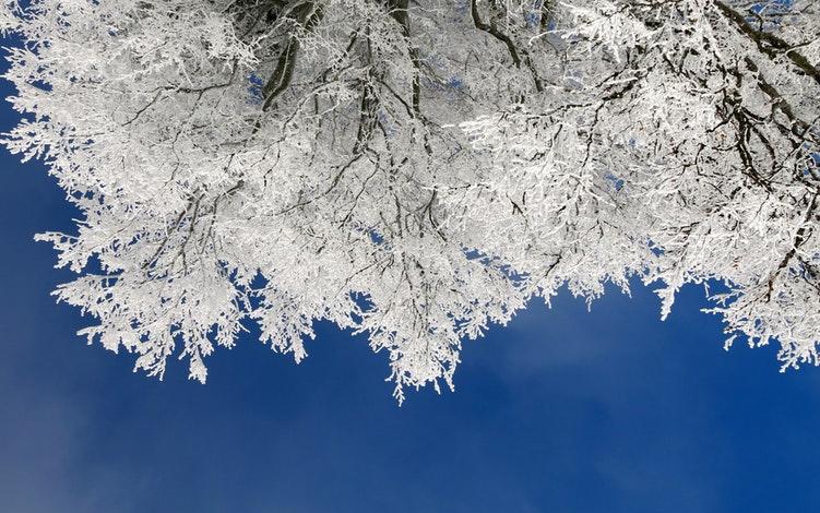 Прогноз погоды: какой будет предпраздничная рабочая неделя в Чепецке?