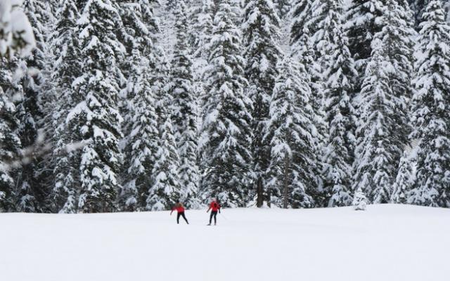 В МЧС рассказали о погоде в Чепецке и в регионе на воскресенье