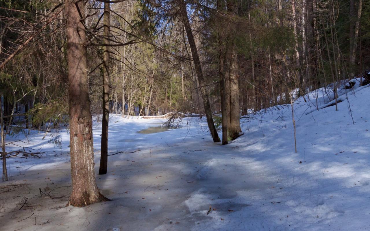 Синоптики рассказали, когда в Кирово-Чепецке потеплеет