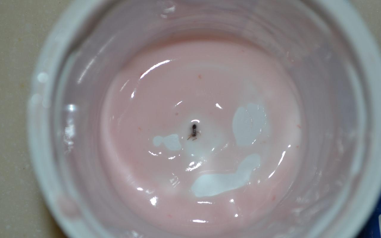 Муравей в йогурте, ремонт дорог и навязчивые продавцы: что возмутило чепчан на этой неделе