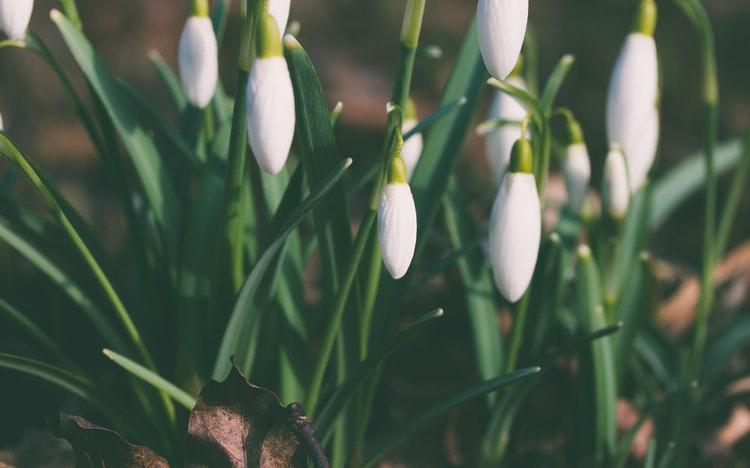 Прогноз погоды: какими будут праздничные выходные в Кирово-Чепецке?