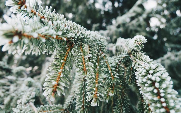 Прогноз погоды: какой будет пятница в Кировcкой области?