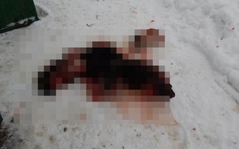 На кировчанина возбудили уголовное дело за жестокое убийство собаки