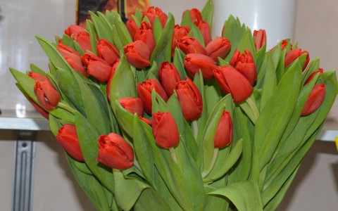 В Чепецке 8 марта магазины продают по 3 тысячи тюльпанов