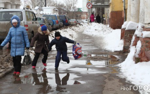 В начале апреля воздух в Кировской области прогреется до +15