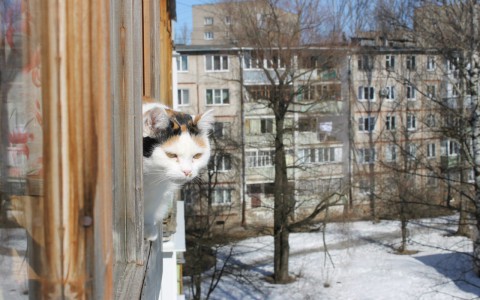 Прогноз погоды: рабочая неделя в Чепецке будет солнечной