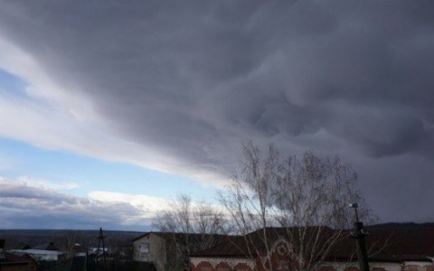 В Кировской области в выходные зафиксированы первые грозы