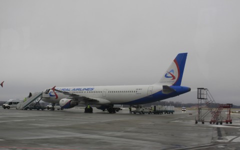 Цыгана, который убил кировчанку, задержали в столичном аэропорту Шереметьево