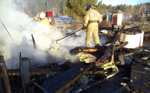 В Кирово-Чепецком районе сгорел садовый дом: на пепелище нашли тела двух человек