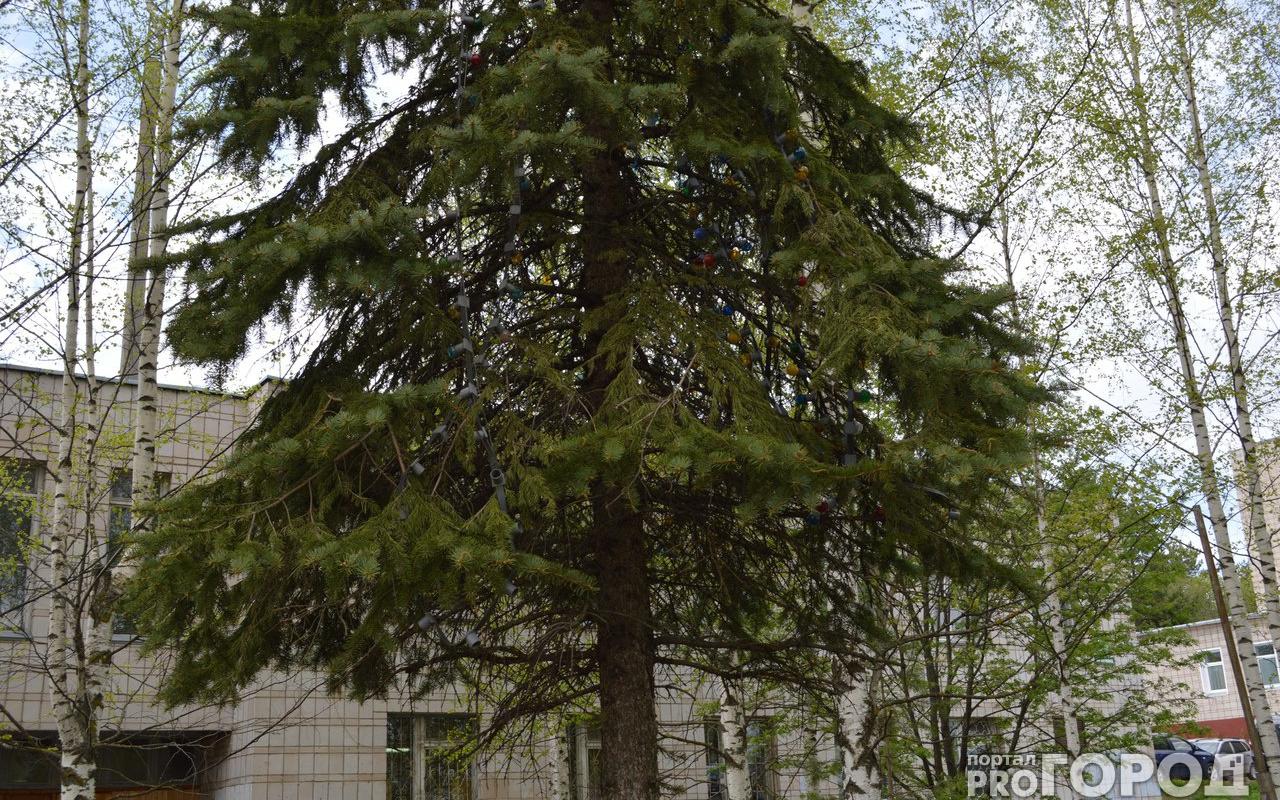 В Кирово-Чепецке на улице Ленина стоит елка с новогодней гирляндой