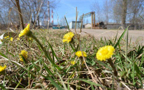 Погода на выходные: в Кировской области ожидаются заморозки до -3