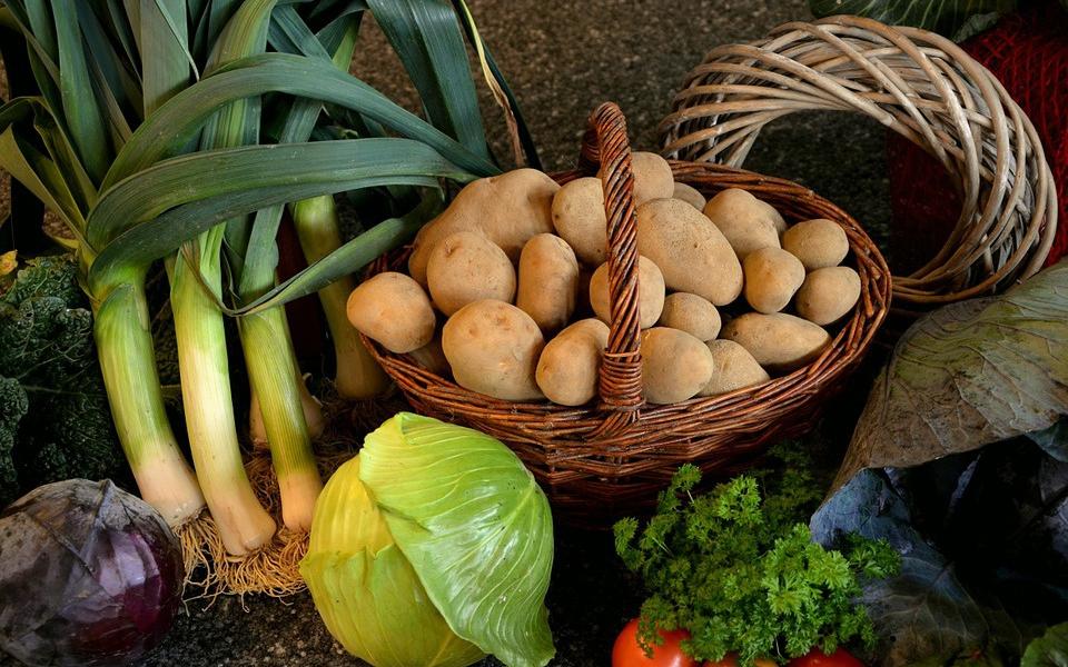 Как оградить растения от вредителей и болезней?