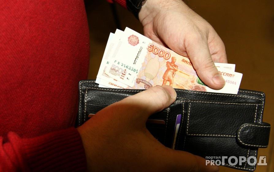 Кировский бизнесмен потратил на себя 600 тысяч рублей, которые администрация дала ему на разведение страусов