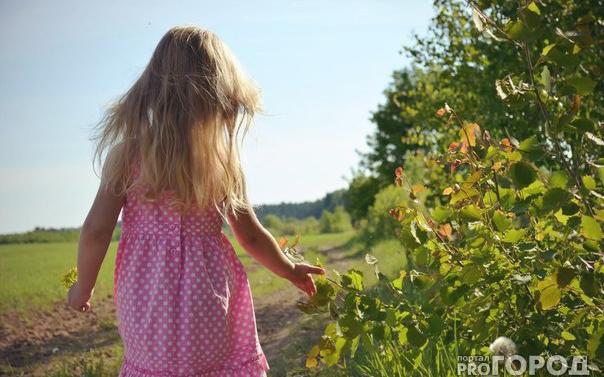 Погода в Кировской области: температура воздуха в июне ожидается выше нормы