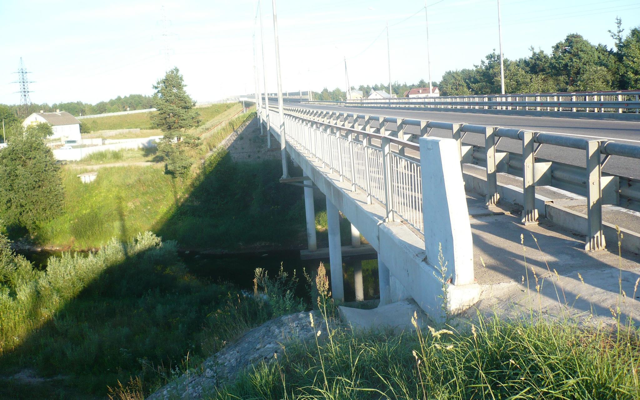 В Кировской области 20-летний парень упал с моста в реку: тело молодого человека не найдено
