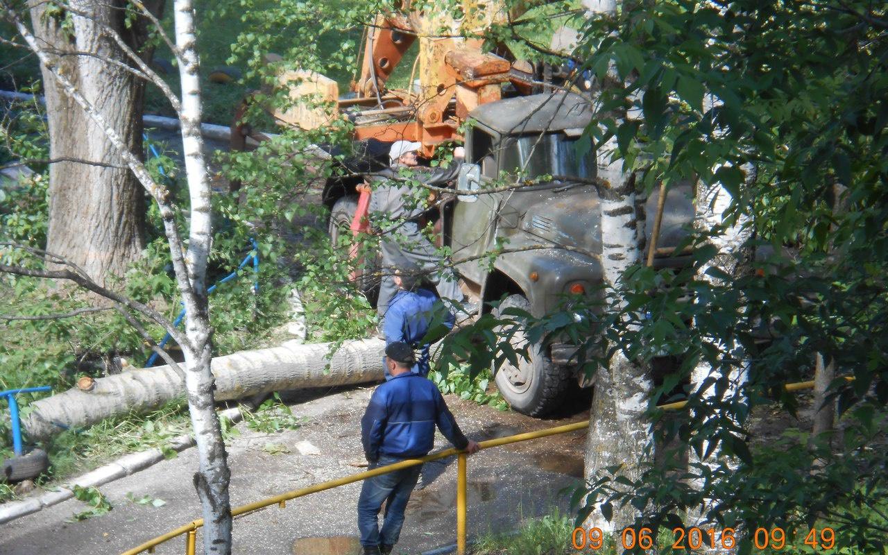 На машину рабочих, которые приехали спиливать деревья, упал тополь