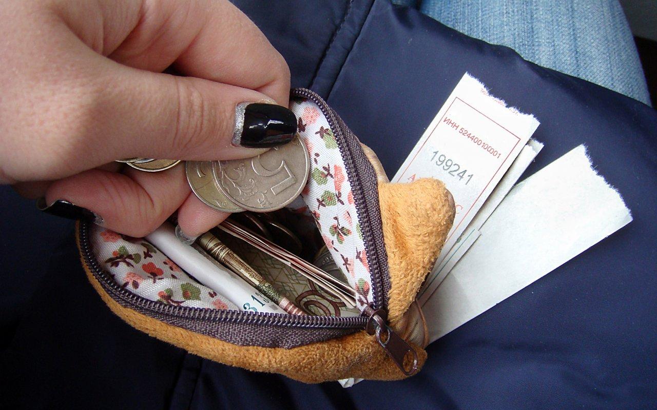 У чепчанки в автобусе украли деньги