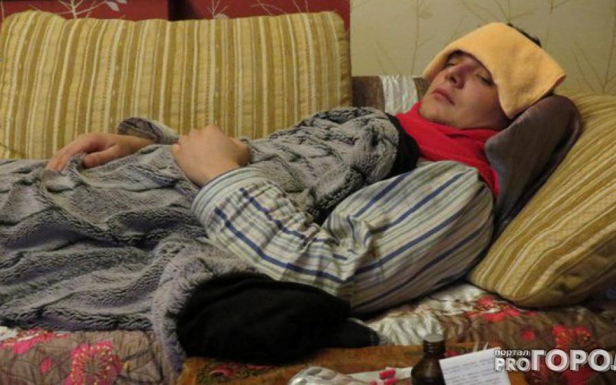 Кировчане более 150 раз обратились с отравлениями за первую неделю лета