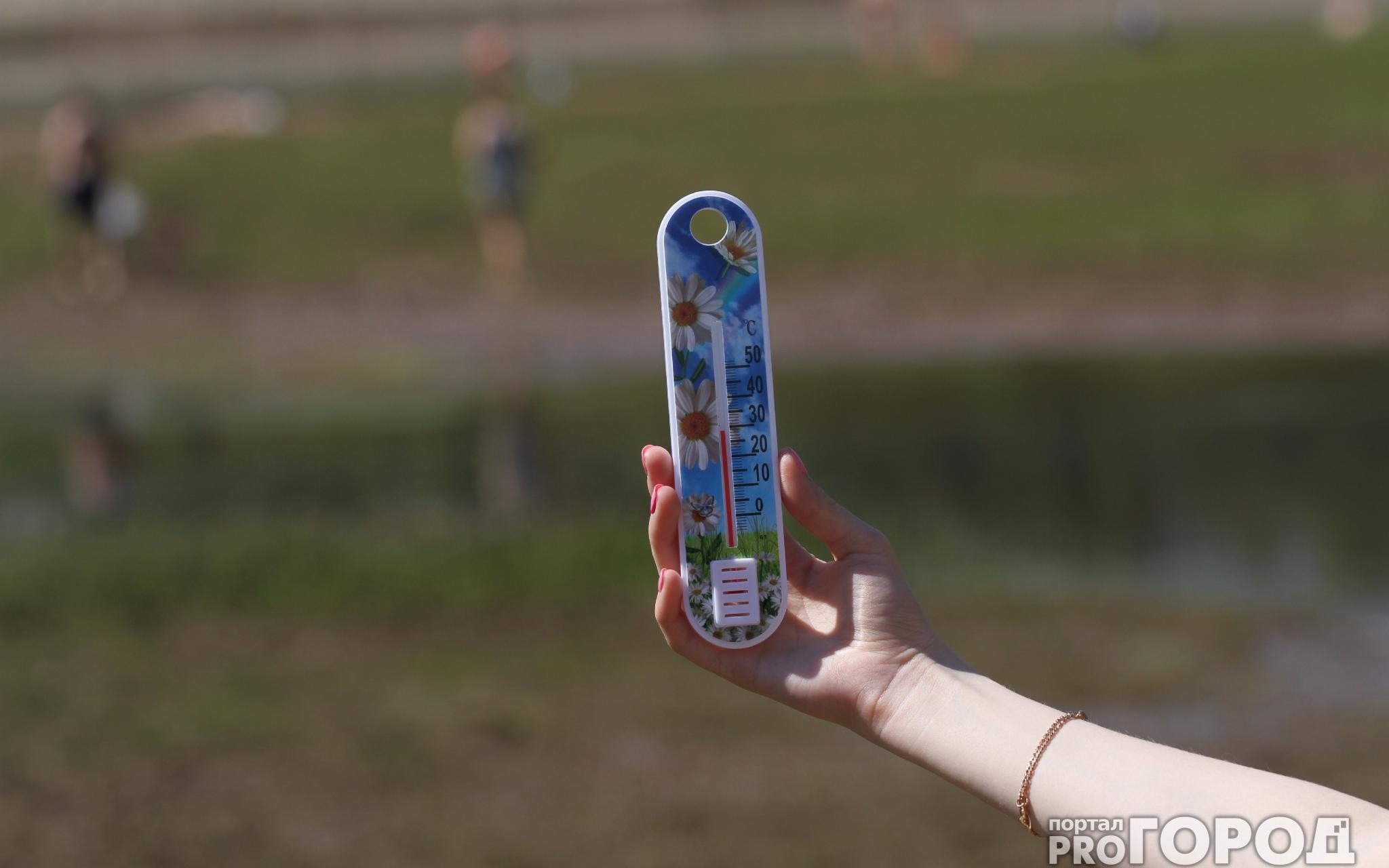 Прогноз погоды в Кирово-Чепецке на неделю: в городе будет жарко