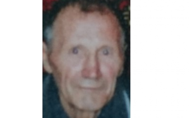 Собака пропавшего 2,5 недели назад жителя Кировской области вернулась домой одна