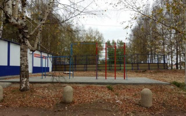 Следователи: "13-летний мальчик из Кирова погиб на детской площадке не от "собачьего кайфа"