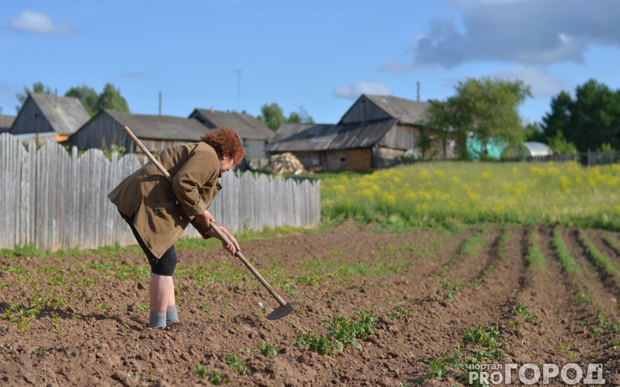В Чепецке многодетным семьям выделят земельные участки