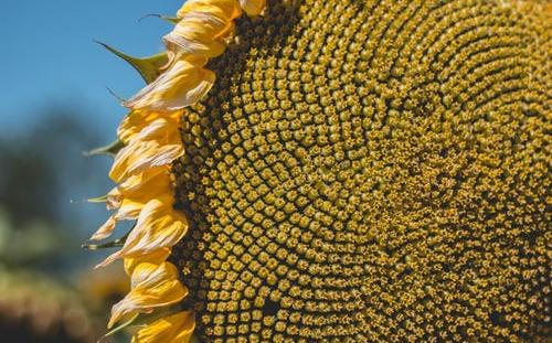 Метеорологи дали прогноз погоды на лето 2018 года в Кировской области