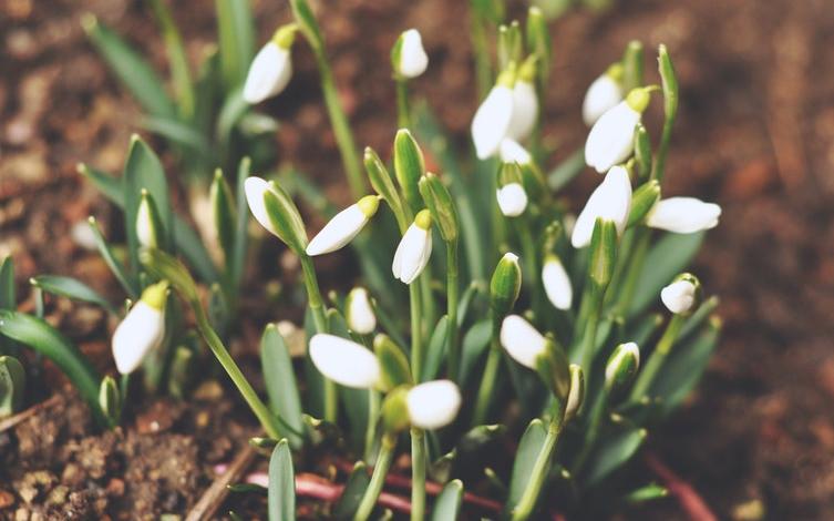 Прогноз погоды: какой будет рабочая неделя в Кирово-Чепецке?